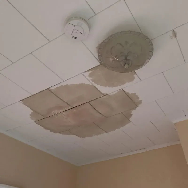 Ceiling Water Damage Repair in Roanoke County, VA