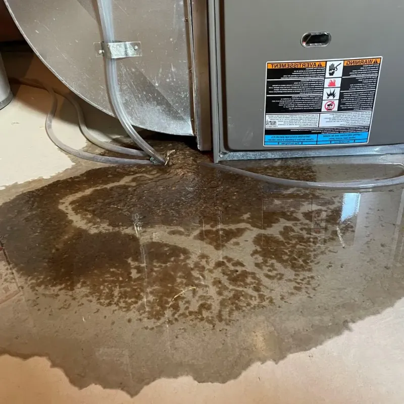 Pipe Burst and Leak Restoration in Roanoke County, VA