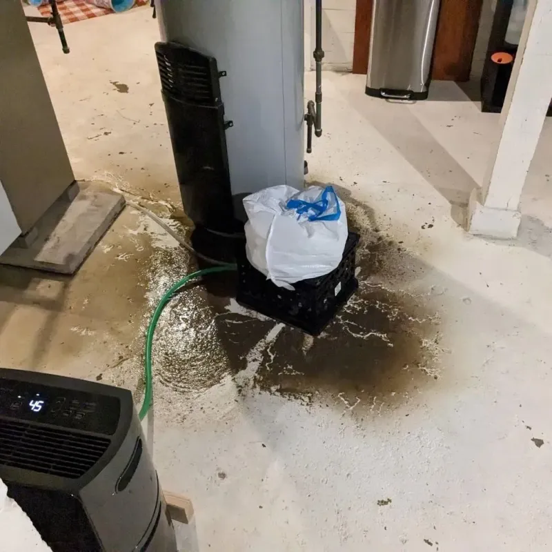 Sewage Backup Cleanup Service in Roanoke County, VA
